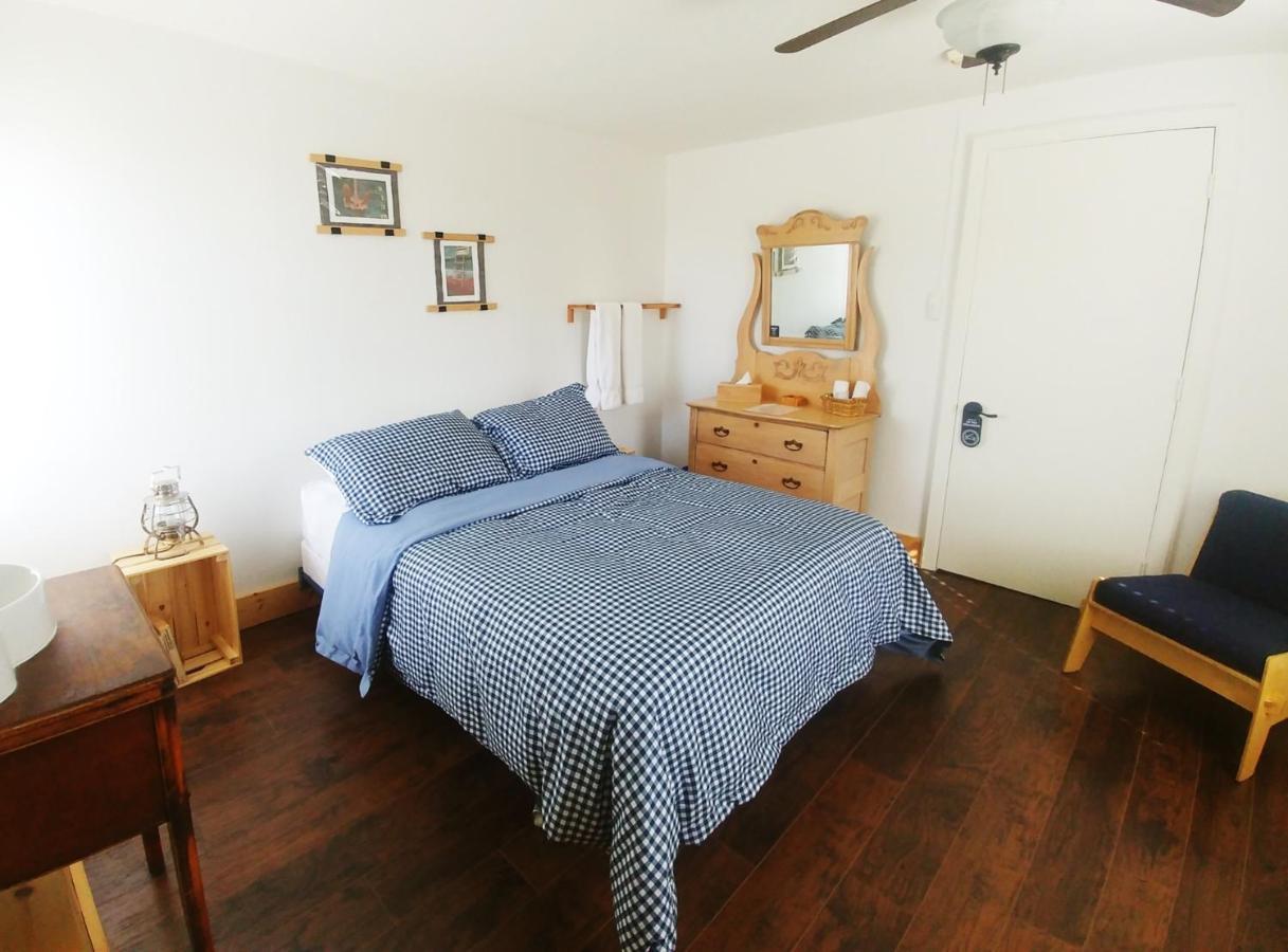 Auberge De La Rive De Charlevoix - Auberge De Jeunesse Familiale Pour Voyageurs De Tous Ages Saint-Joseph-de-la-Rive المظهر الخارجي الصورة