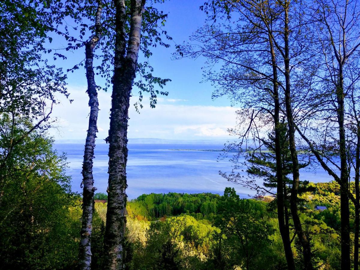 Auberge De La Rive De Charlevoix - Auberge De Jeunesse Familiale Pour Voyageurs De Tous Ages Saint-Joseph-de-la-Rive المظهر الخارجي الصورة
